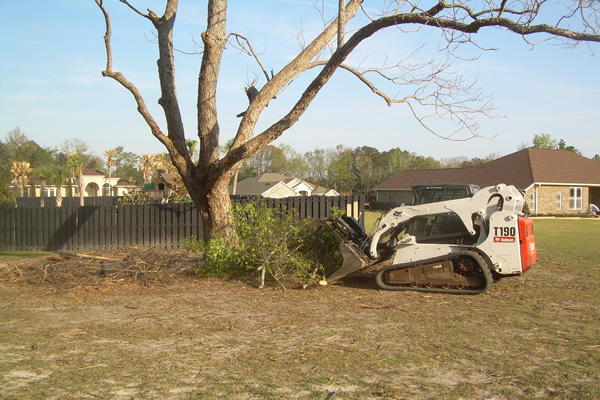 Emergency Cleanup Services by Reliable Landscaping