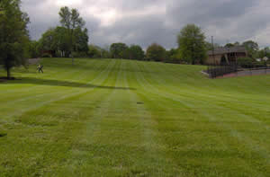 Lawn Maintenance Nashville Tennessee, White House & Surrounding areas.