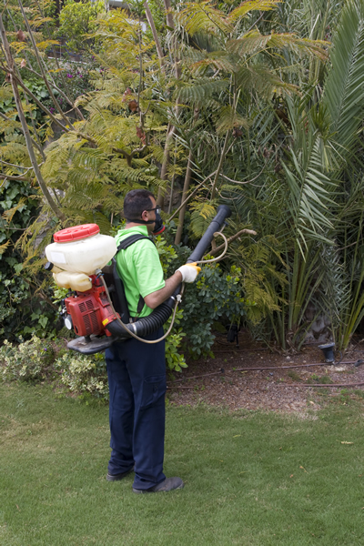 Turf and Weed Control By Reliable Landscape.