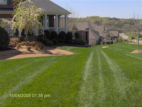 Manicured mowing